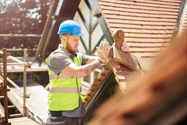 Roof Gutter Cleaning in Independence, OR